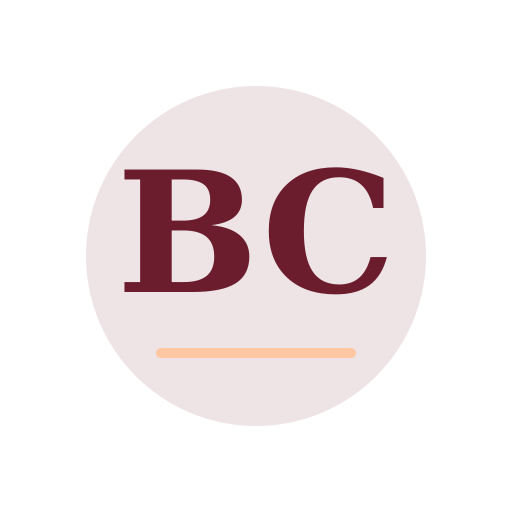 Boyd Chimney Repair logo